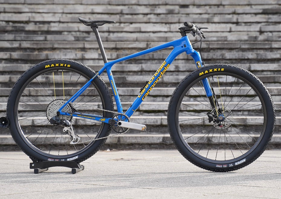 Cannondale Lefty detail