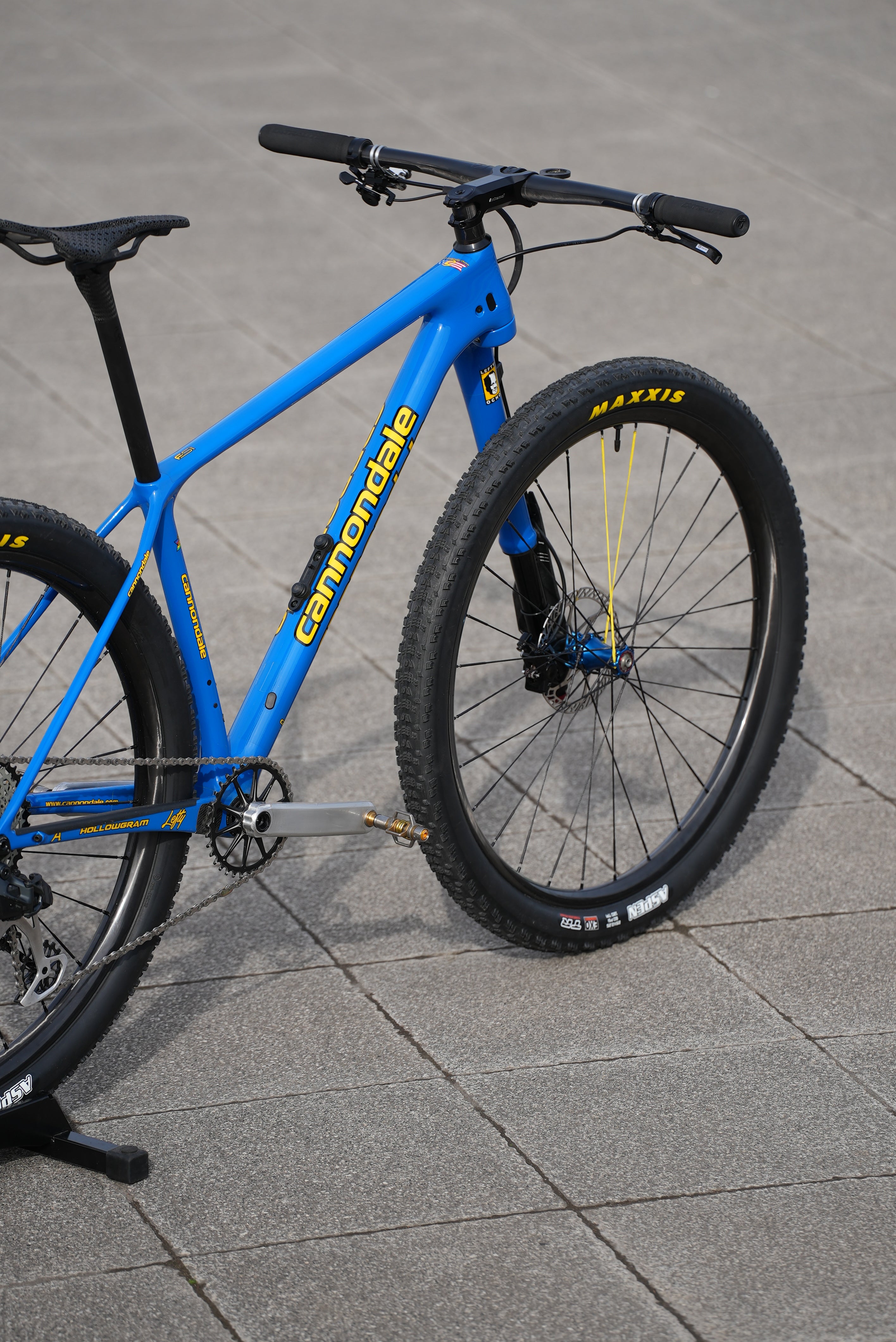 Cannondale Lefty detail